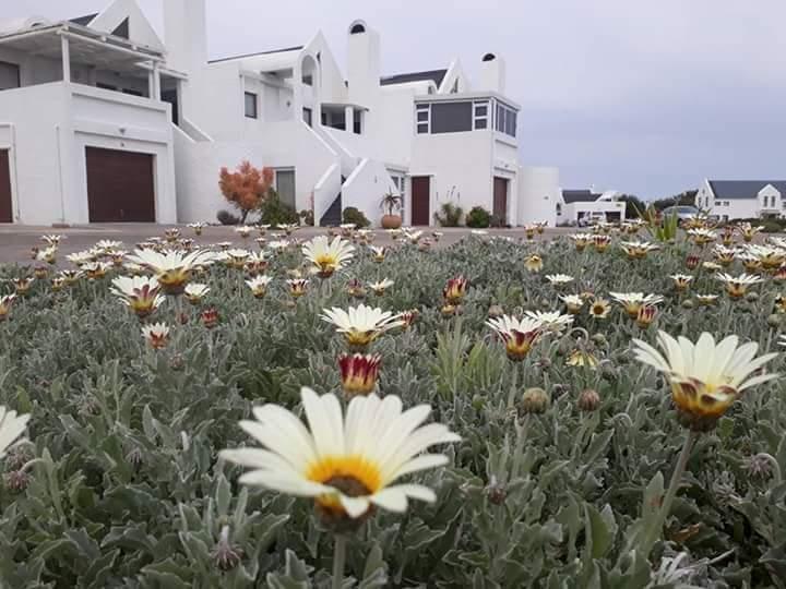 To Let 2 Bedroom Property for Rent in Dwarskersbos Western Cape